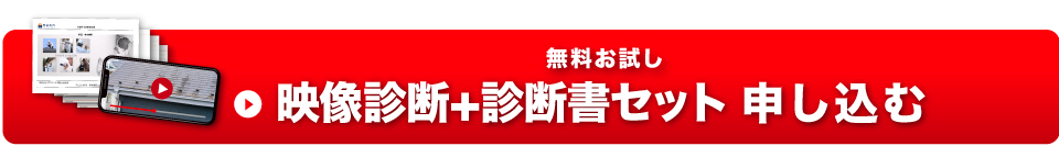 無料お試し 映像診断+診断書セット 申し込む