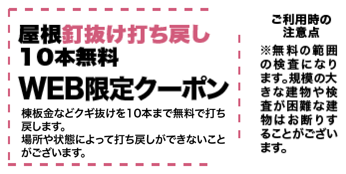 WEB限定クーポン